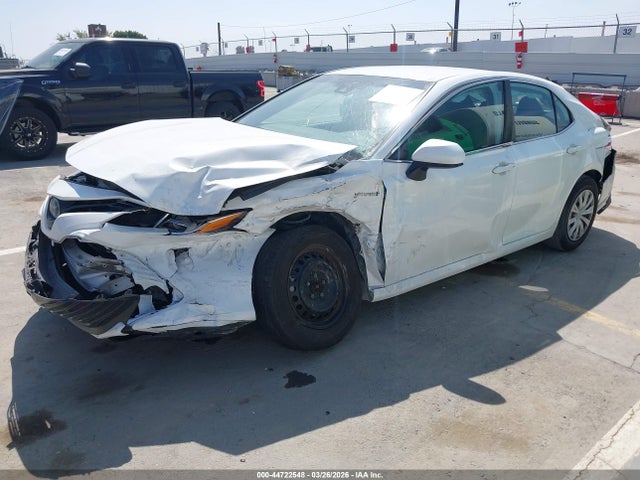 4T1B31HK1KU517035 Toyota Camry Hybrid Le