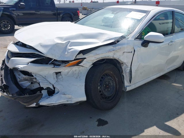 4T1B31HK1KU517035 Toyota Camry Hybrid Le