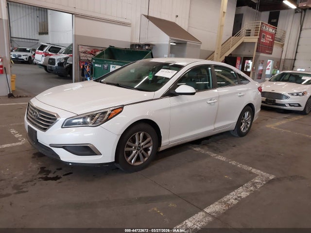 44722672 :رقم المزاد ، 5NPE24AFXHH567504 vin ، 2017 Hyundai Sonata مزاد بيع