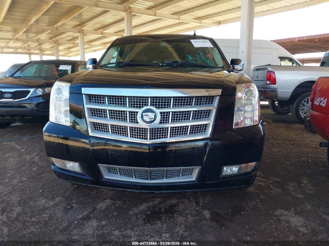 Продаж на аукціоні авто 2010 Cadillac Escalade Esv Platinum Edition, vin: 1GYUKKEF5AR216924, номер лоту: 44723464