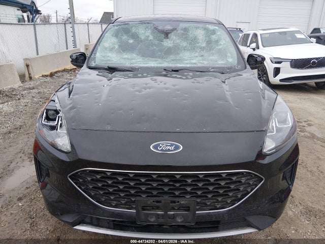 Продаж на аукціоні авто 2020 Ford Escape Se, vin: 1FMCU0G63LUA49486, номер лоту: 44724202