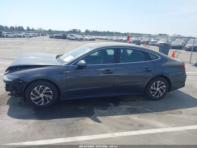 44724504 :رقم المزاد ، KMHL24JJ6PA060631 vin ، 2023 Hyundai Sonata Hybrid Blue مزاد بيع