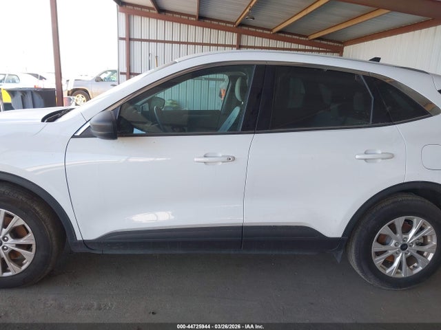 Ford Escape Active 2024 1FMCU0GNXRUA21491 Image 14
