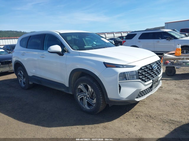 2023 HYUNDAI SANTA FE 5NMS1DAJ9PH574532