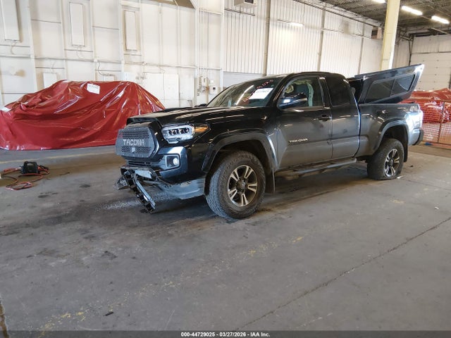 5TFSZ5AN3KX203254 Toyota Tacoma Trd Sport