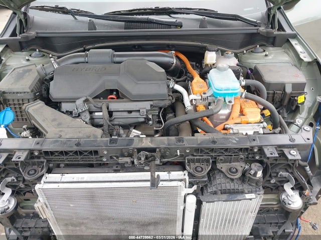 Продаж на аукціоні авто 2025 Kia Sportage Plug-in Hybrid X-line Prestige, vin: KNDPZDDH8S7230777, номер лоту: 44729962