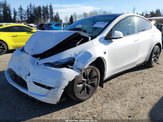 2025 TESLA MODEL Y 7SAYGDED4SF280126 Photo 1