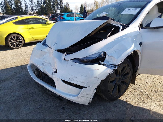 2025 TESLA MODEL Y 7SAYGDED4SF280126 Photo 5