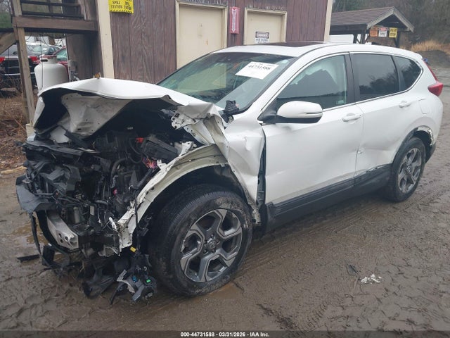 Продаж на аукціоні авто 2019 Honda Cr-v Ex, vin: 5J6RW2H55KA001413, номер лоту: 44731588