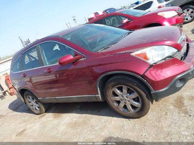 2009 Honda Cr-v Ex-l მანქანა იყიდება აუქციონზე, vin: 5J6RE48789L048711, აუქციონის ნომერი: 44731646