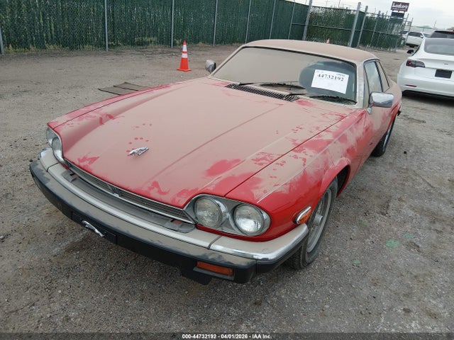 1989 JAGUAR XJS SAJNA5845KC149160 Photo 5