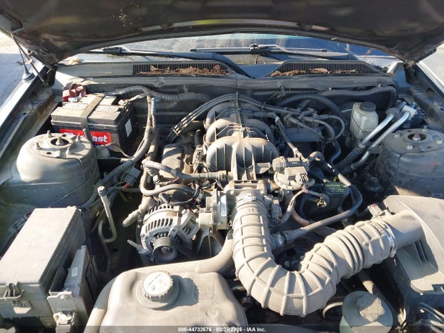 2009 FORD MUSTANG 1ZVHT80N395112390 Photo 9