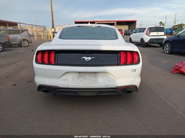 2023 Ford Mustang Ecoboost Premium Fastback მანქანა იყიდება აუქციონზე, vin: 1FA6P8TH9P5109095, აუქციონის ნომერი: 44733247