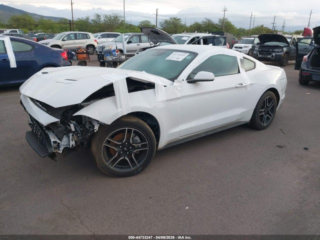 2023 Ford Mustang Ecoboost Premium Fastback მანქანა იყიდება აუქციონზე, vin: 1FA6P8TH9P5109095, აუქციონის ნომერი: 44733247