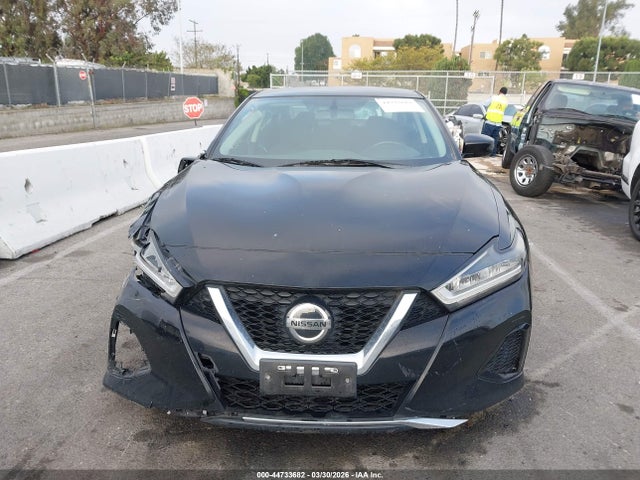 1N4AA6AV0KC382312 Nissan Maxima 3.5 S