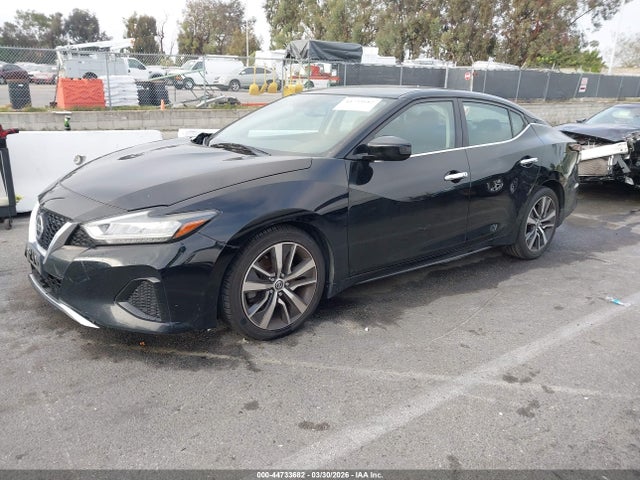 1N4AA6AV0KC382312 Nissan Maxima 3.5 S