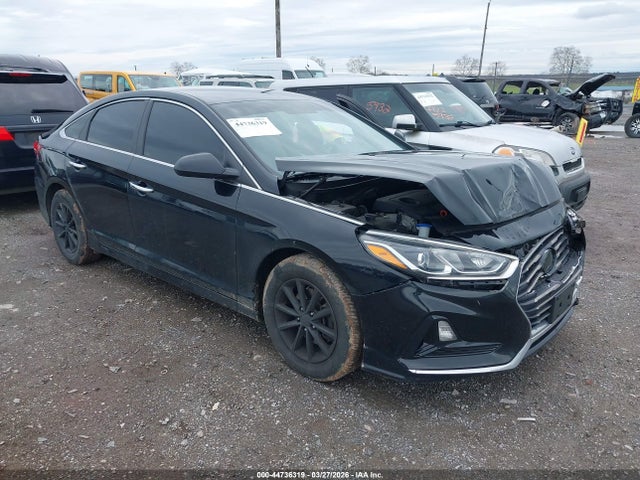 2019 HYUNDAI SONATA 5NPE24AF8KH787702