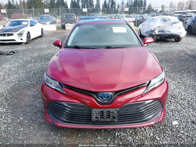 4T1B31HK3KU510832 Toyota Camry Hybrid Le