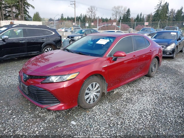 4T1B31HK3KU510832 Toyota Camry Hybrid Le