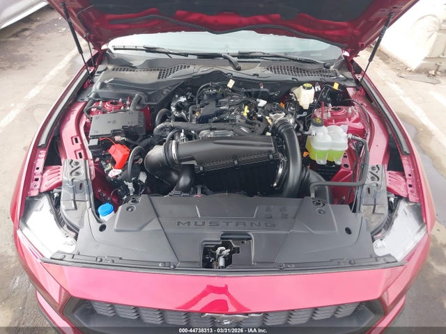 Ford Mustang Ecoboost Fastback 2025 1FA6P8TH5S5128820 Image 10