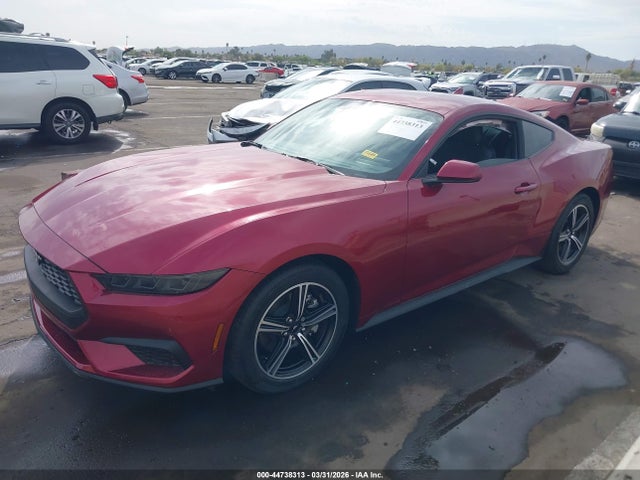 Ford Mustang Ecoboost Fastback 2025 1FA6P8TH5S5128820 Image 2