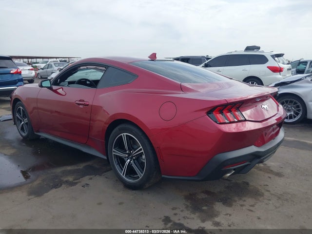 Ford Mustang Ecoboost Fastback 2025 1FA6P8TH5S5128820 Image 3