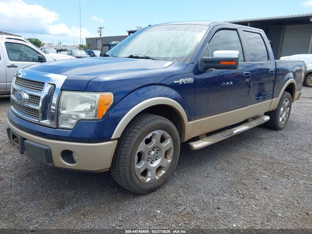 44740459 :رقم المزاد ، 1FTPW12V89KC77525 vin ، 2009 Ford F-150 King Ranch/lariat/platinum/xl/xlt مزاد بيع