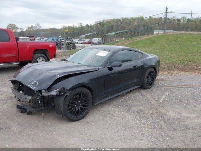 2017 FORD MUSTANG 1FA6P8AM9H5262917 Photo 1