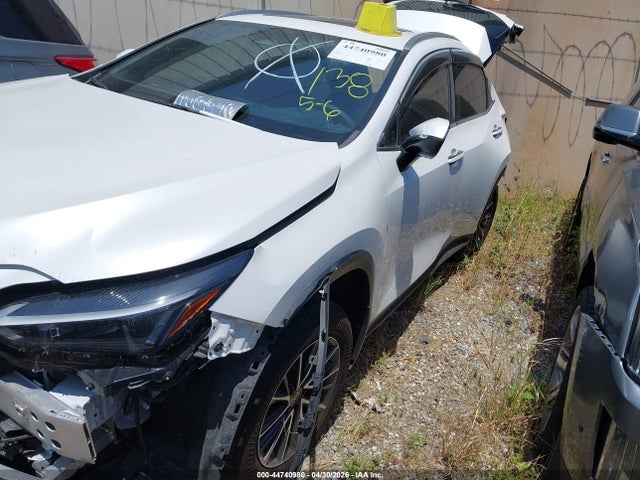 JTJADCAZ6S5024491 Lexus NX 250