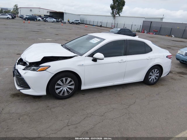 4T1B31HK9KU508924 Toyota Camry Hybrid Le