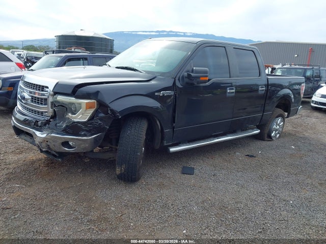 2014 Ford F-150 Xlt მანქანა იყიდება აუქციონზე, vin: 1FTFW1EF2EKE98144, აუქციონის ნომერი: 44742080