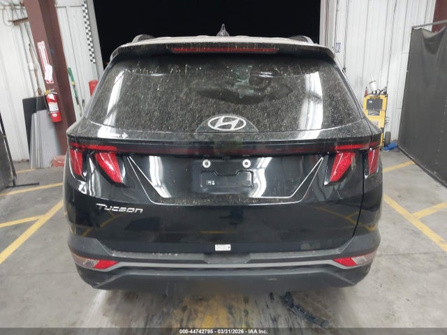 Hyundai TUCSON SEL 2024 5NMJB3DE3RH351858 Image 17