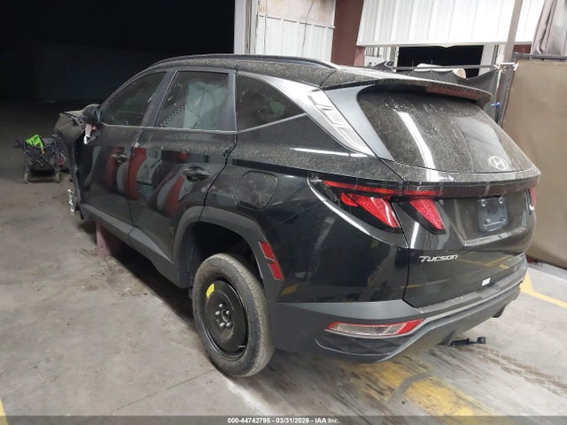 Hyundai TUCSON SEL 2024 5NMJB3DE3RH351858 Image 3