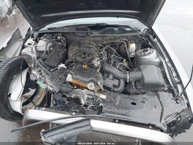 1ZVBP8AM5E5288934 Ford Mustang V6