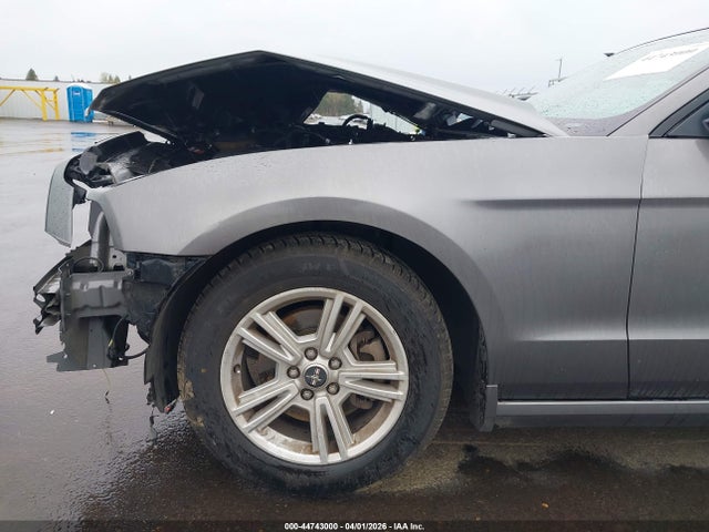 1ZVBP8AM5E5288934 Ford Mustang V6