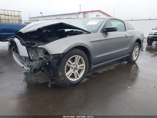 1ZVBP8AM5E5288934 Ford Mustang V6