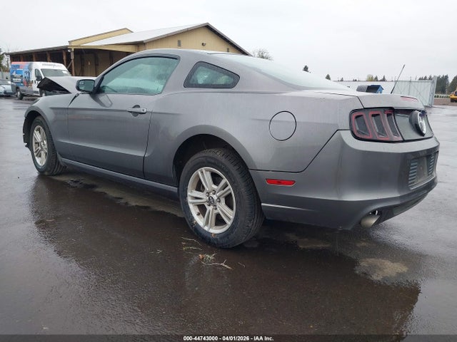 1ZVBP8AM5E5288934 Ford Mustang V6