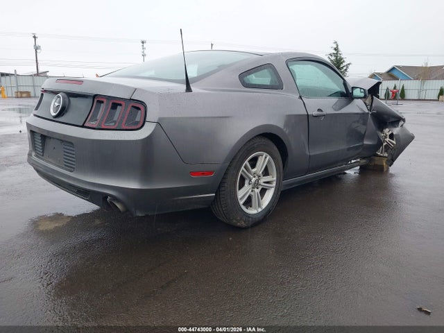 1ZVBP8AM5E5288934 Ford Mustang V6