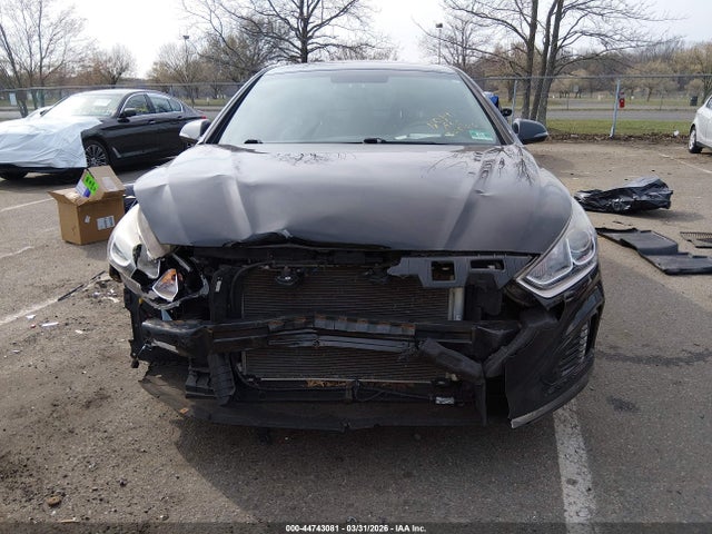 44743081 :رقم المزاد ، 5NPE34AF7KH729514 vin ، 2019 Hyundai Sonata Sport مزاد بيع