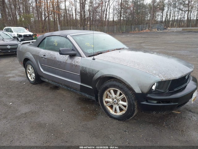 2006 FORD MUSTANG 1ZVFT84N465210065