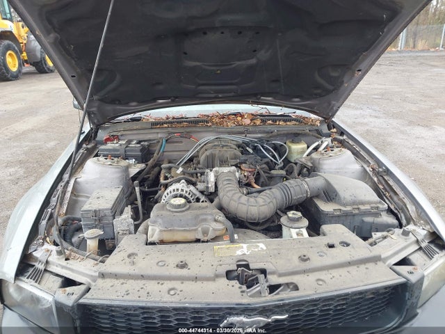 2006 FORD MUSTANG 1ZVFT84N465210065 Photo 9