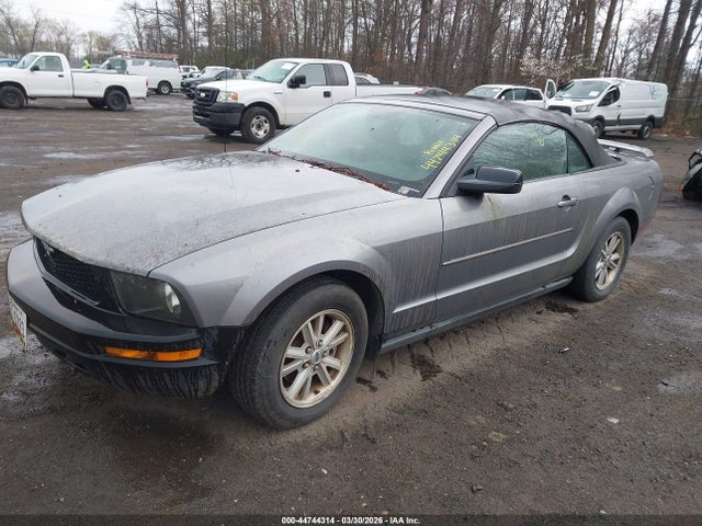 2006 FORD MUSTANG 1ZVFT84N465210065 Photo 1