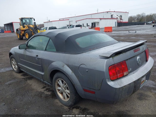 2006 FORD MUSTANG 1ZVFT84N465210065 Photo 2