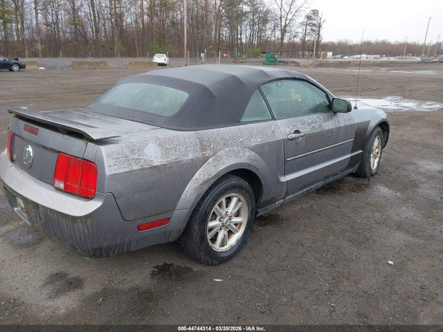 2006 FORD MUSTANG 1ZVFT84N465210065 Photo 3