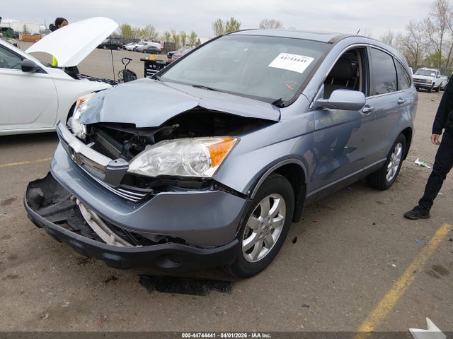 Auction sale of the 2009 Honda Cr-v Ex-l, vin: JHLRE48719C019236, lot number: 44744441