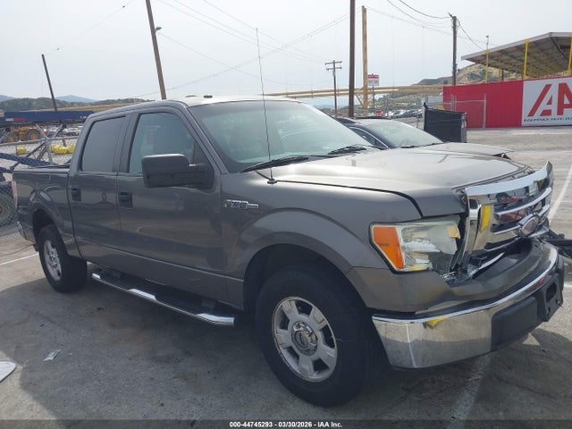 2009 FORD F-150 1FTPW12V49FA61664