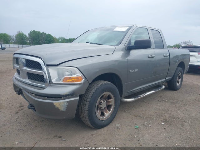 2009 Dodge Ram 1500 St მანქანა იყიდება აუქციონზე, vin: 1D3HV18P49S741272, აუქციონის ნომერი: 44747394