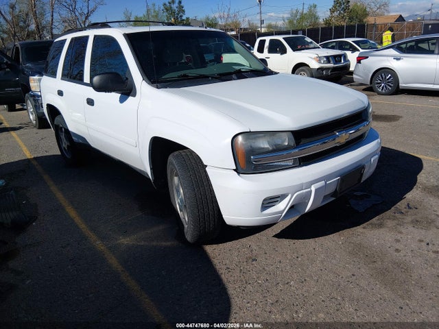 2007 CHEVROLET TRAILBLAZER 1GNDT13SX72241131