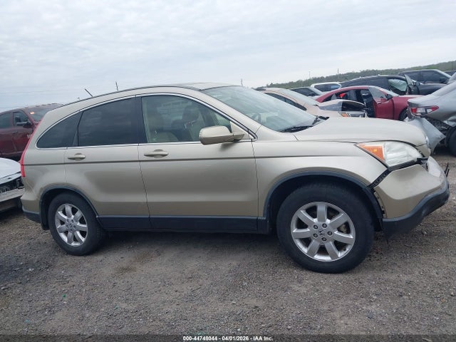 Auction sale of the 2007 Honda Cr-v Ex-l, vin: JHLRE387X7C056986, lot number: 44748044