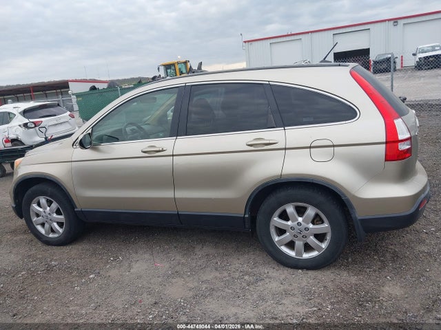 Auction sale of the 2007 Honda Cr-v Ex-l, vin: JHLRE387X7C056986, lot number: 44748044